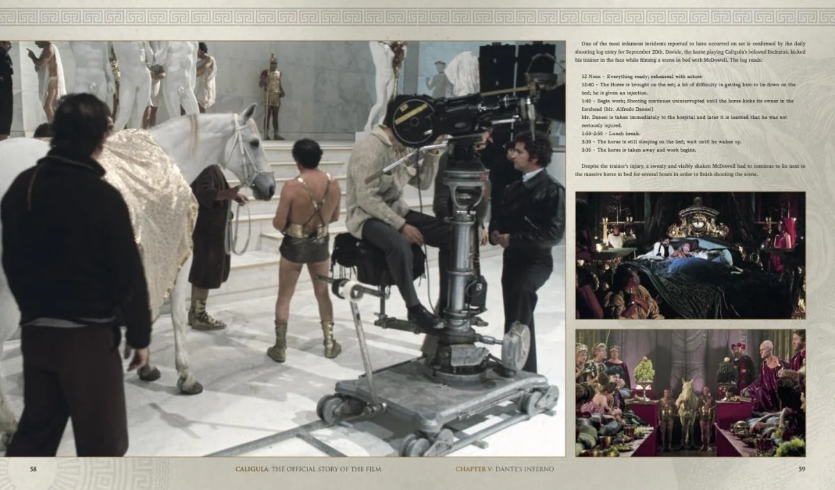 BOOK PRE-ORDER - Caligula: The Official Story of the Film (HC) - Image 6