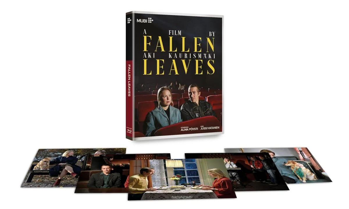 Fallen Leaves - Image 2