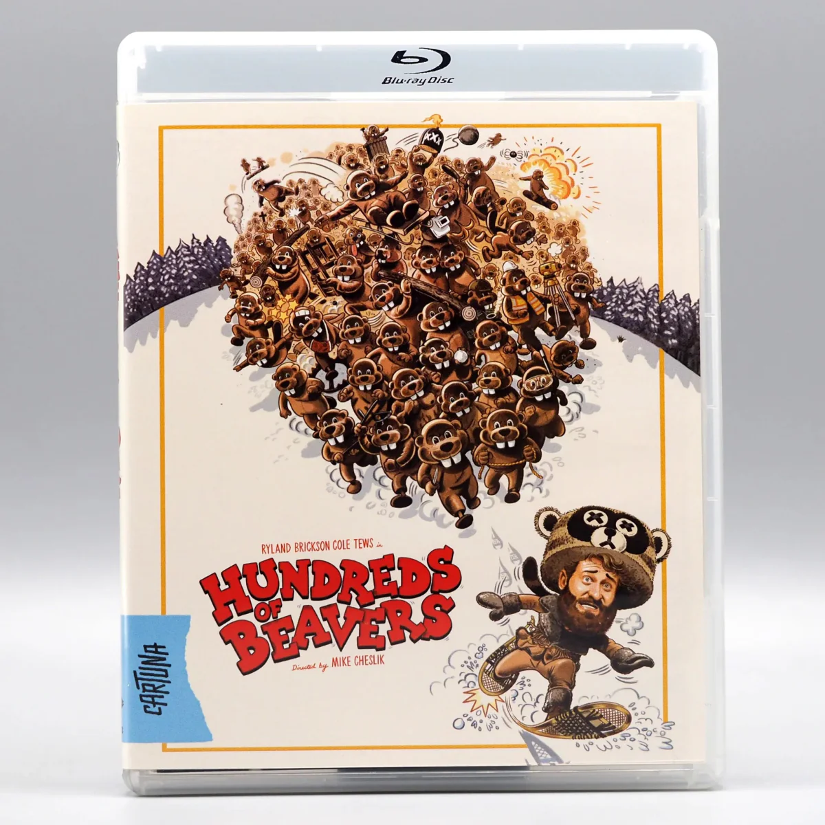 Hundreds of Beavers