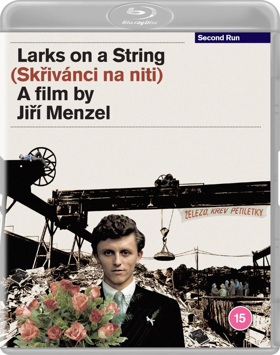 Larks on a String (Region Free)
