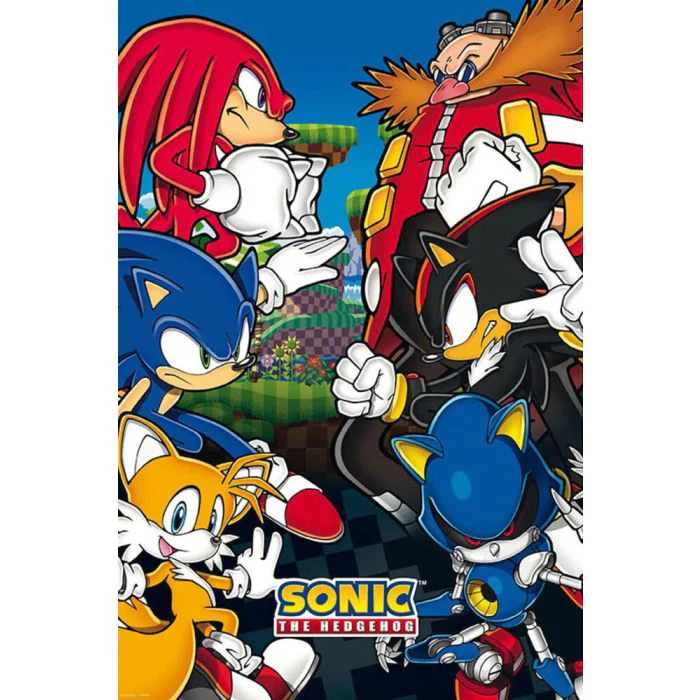 Sonic vs. Dr. Eggman Poster PICKUP ONLY