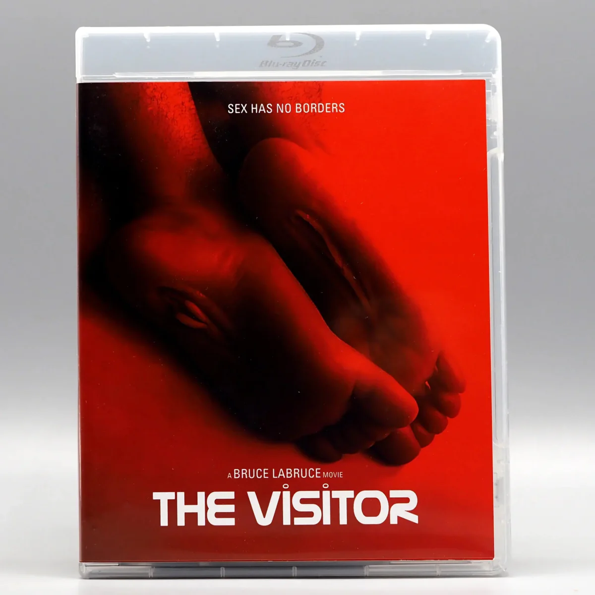 The Visitor w/SLIP - Image 2